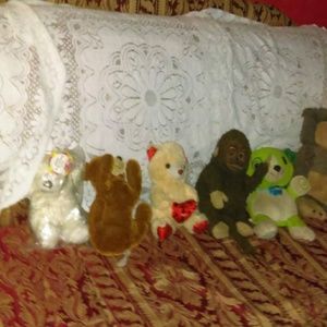 Meet your Posher, Jose